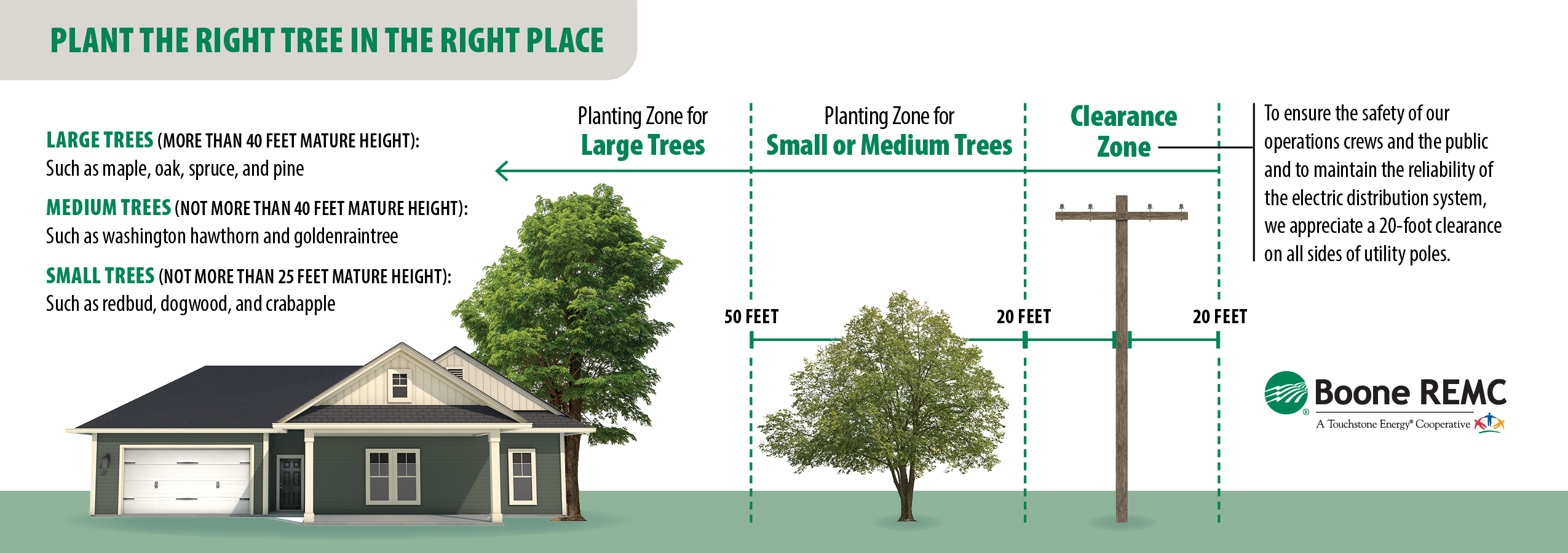tree planting guide