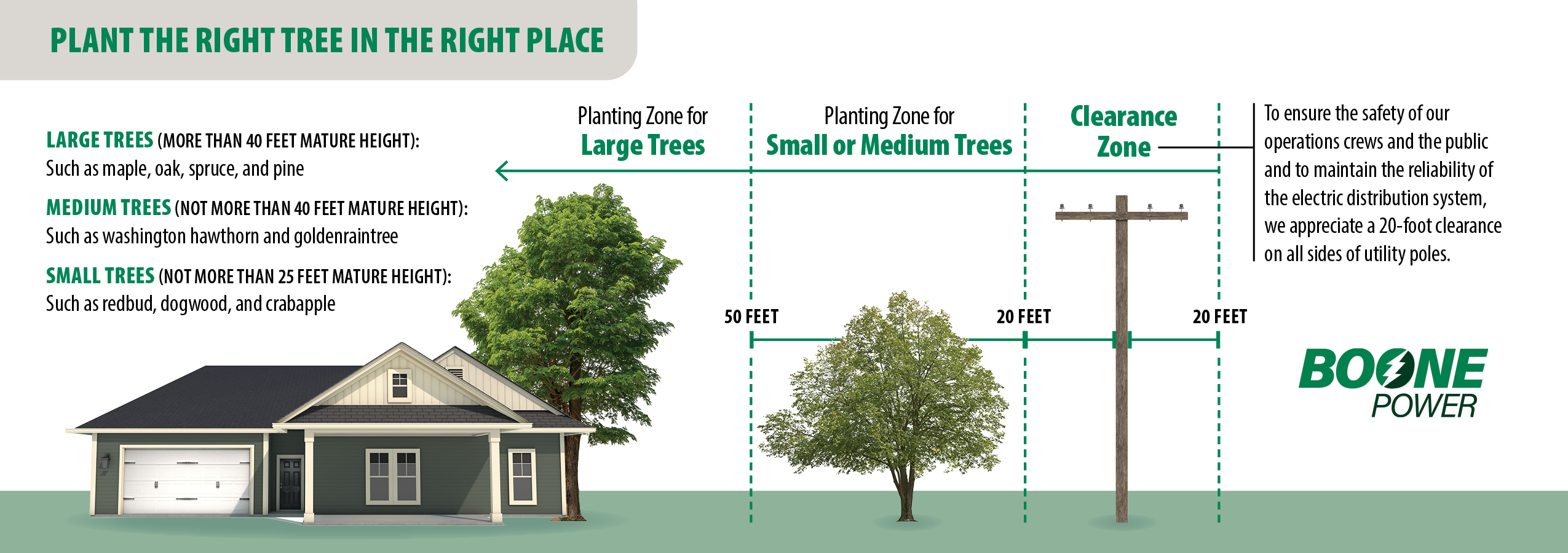 Infographic titled “Plant the Right Tree in the Right Place” showing recommended planting distances from utility lines. Large trees should be planted farthest away (about 50 feet), medium and small trees closer (around 20 feet), with a 20-foot clearance zone around utility poles. Includes examples of tree types by size and an illustration of a house, trees, and a utility pole with labeled spacing zones, branded Boone Power.