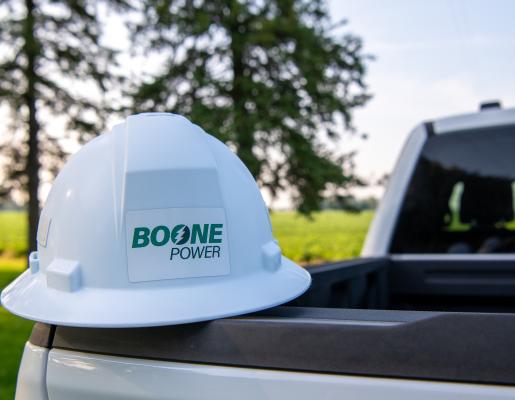 hard hat and trees