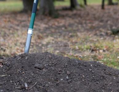 shovel-and-dirt-crop
